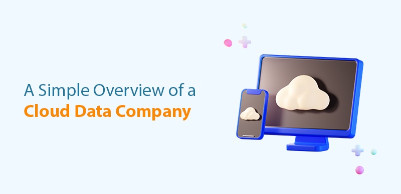 A Simple Overview of a Cloud Data Company