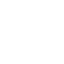 Quality Assurance & Testing
